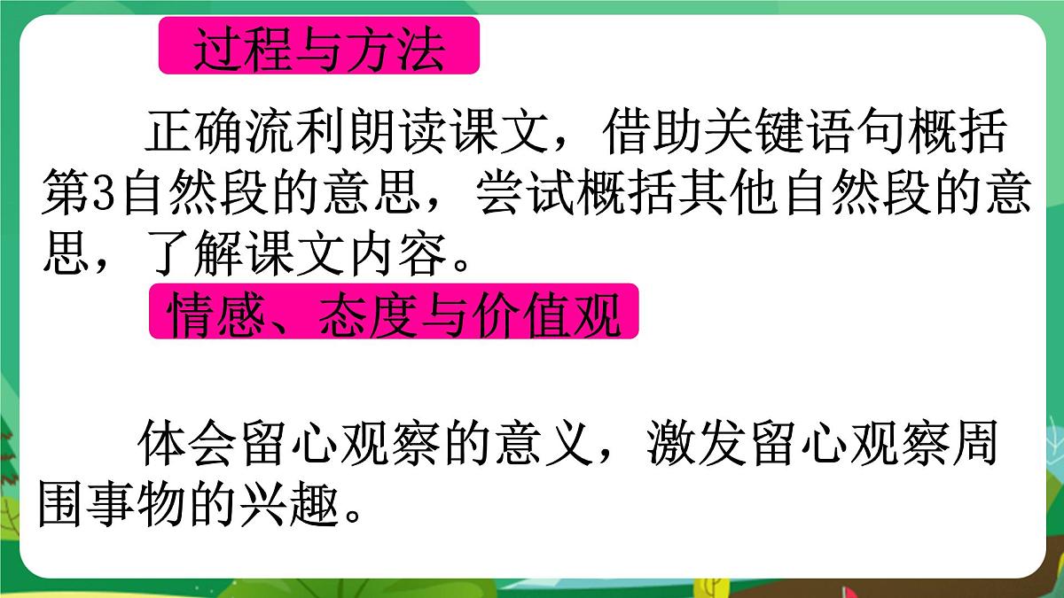 统编版三年级语文下册《15 小虾》课件第3页