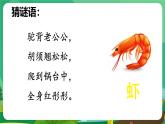 统编版三年级语文下册《15 小虾》课件