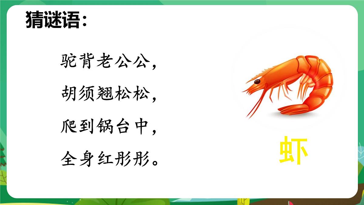 统编版三年级语文下册《15 小虾》课件第5页
