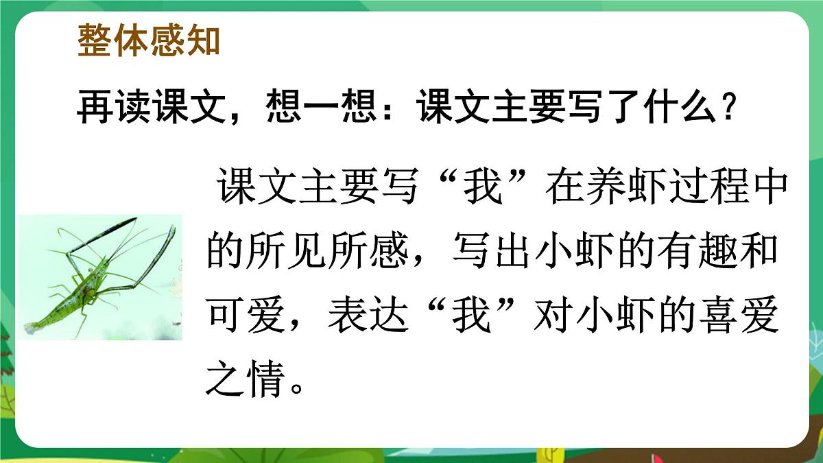 统编版三年级语文下册《15 小虾》课件第8页
