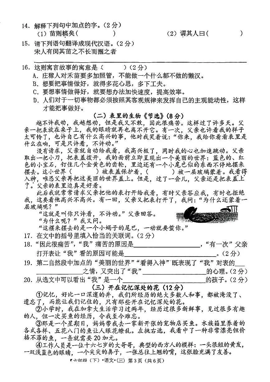 江西省宜春市丰城市2024-2025学年六年级下学期月考语文试题及答案第3页