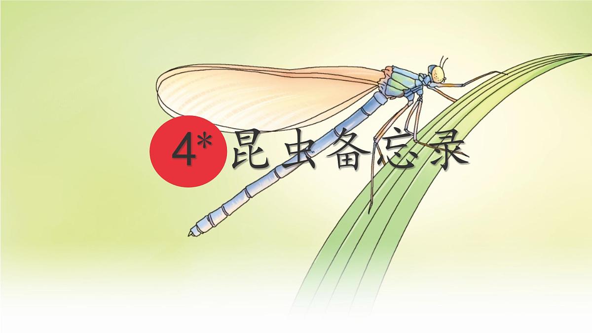 统编版三年级语文下册课件《4昆虫备忘录》第1页