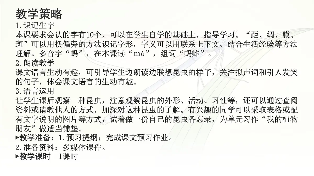 统编版三年级语文下册课件《4昆虫备忘录》第3页