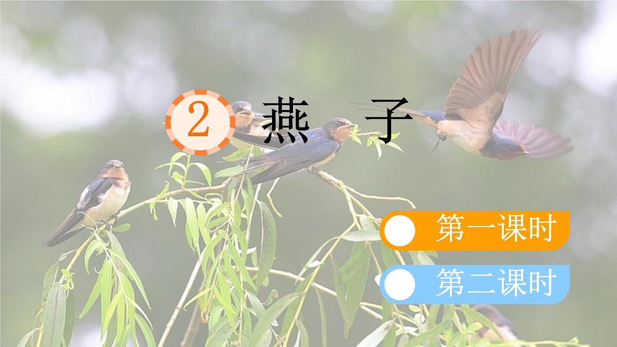 统编版三年级语文下册教学课件《2 燕子》第1页