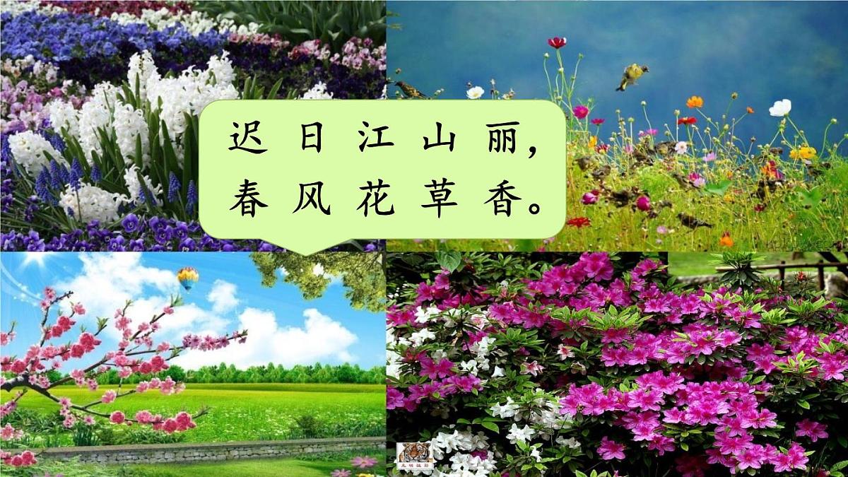 统编版三年级语文下册教学课件《第一单元口语交际：春游去哪儿玩》第2页