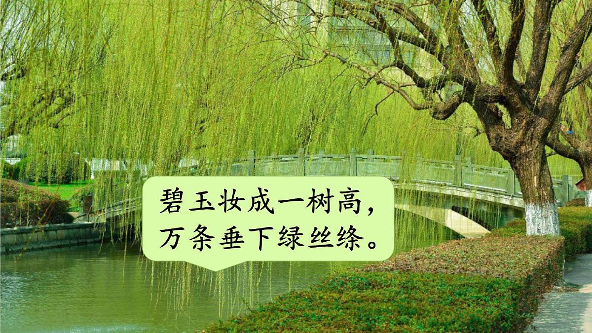 统编版三年级语文下册教学课件《第一单元口语交际：春游去哪儿玩》第3页