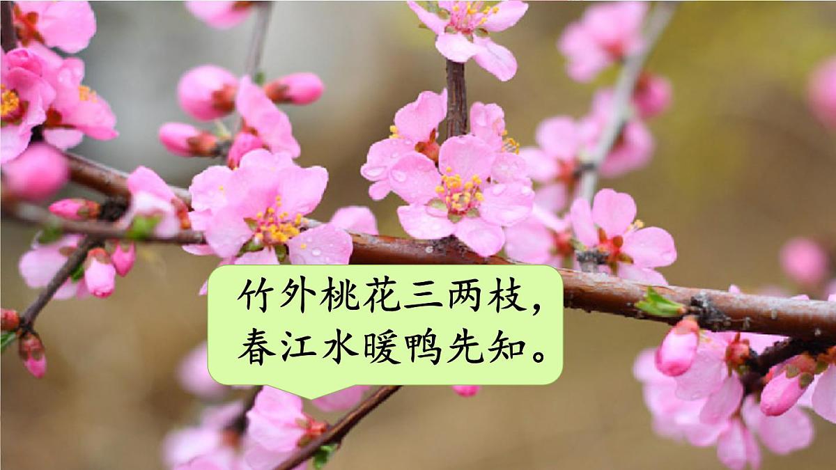 统编版三年级语文下册教学课件《第一单元口语交际：春游去哪儿玩》第4页