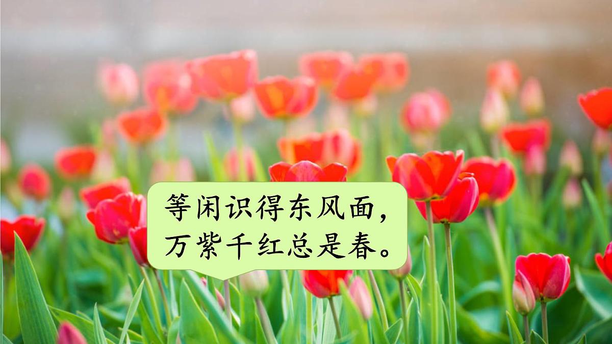 统编版三年级语文下册教学课件《第一单元口语交际：春游去哪儿玩》第5页