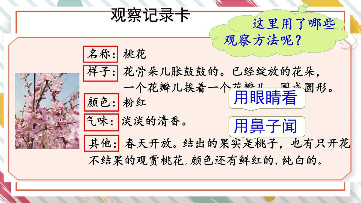 统编版三年级语文下册教学课件《第一单元习作：我的植物朋友》第2页