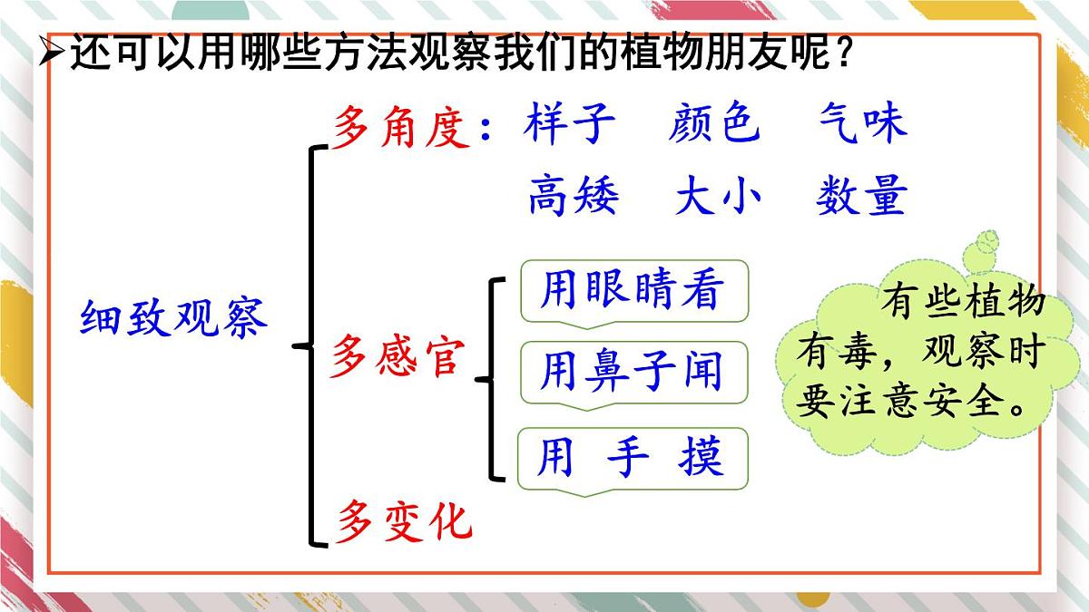 统编版三年级语文下册教学课件《第一单元习作：我的植物朋友》第3页