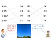 《這兒真美》寫作教學課件（修訂稿）