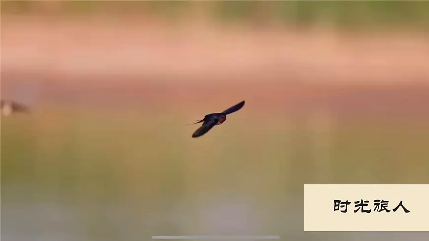 统编版三年级语文下册教学课件《2 燕子》第2页