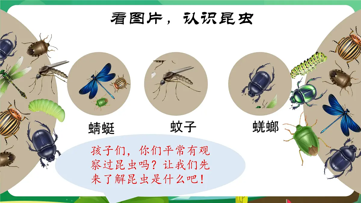 统编版三年级语文下册教学课件《4 昆虫备忘录》第2页