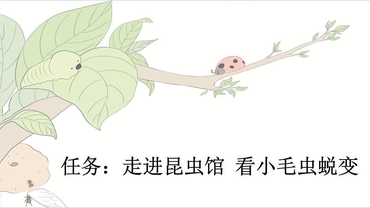 统编版二年级语文下册教学课件《22 小毛虫》第2页