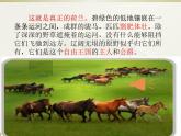 (部编版)小学语文五年级下册第19课《牧场之国》课件