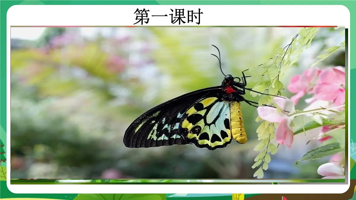 统编版二年级语文下册《22 小毛虫》课件第3页