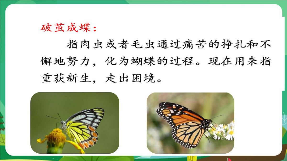 统编版二年级语文下册《22 小毛虫》课件第5页