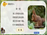 部編版小學(xué)語(yǔ)文五年級(jí)上冊(cè)第五單元17《松鼠》課件（2課時(shí)）+教案（2課時(shí)）+課文朗讀（音頻）