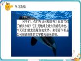 部編版小學(xué)語(yǔ)文五年級(jí)上冊(cè)第五單元習(xí)作例文《鯨》《風(fēng)向袋的制作》課件（1課時(shí)）+教案（1課時(shí)）