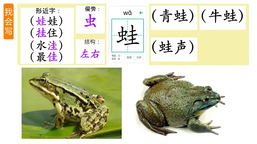 统编版二年级语文下册教学课件《21 青蛙卖泥塘》第3页