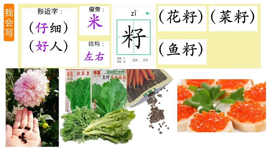 统编版二年级语文下册教学课件《21 青蛙卖泥塘》第7页