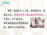 統(tǒng)編版一年級語文下冊教學課件18《棉花姑娘》