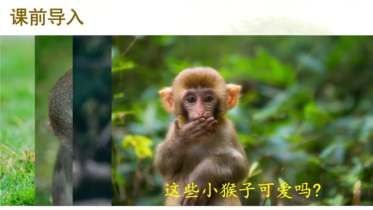 统编版一年级语文下册教学课件《17 小猴子下山》第2页