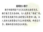 統(tǒng)編版一年級(jí)語(yǔ)文下冊(cè)教學(xué)課件《17 小猴子下山》