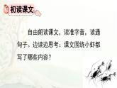 2025年春三年级语文下册第15课《小虾》课件（统编版）