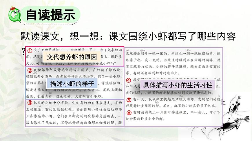 2025年春三年级语文下册第15课《小虾》课件（统编版）第5页