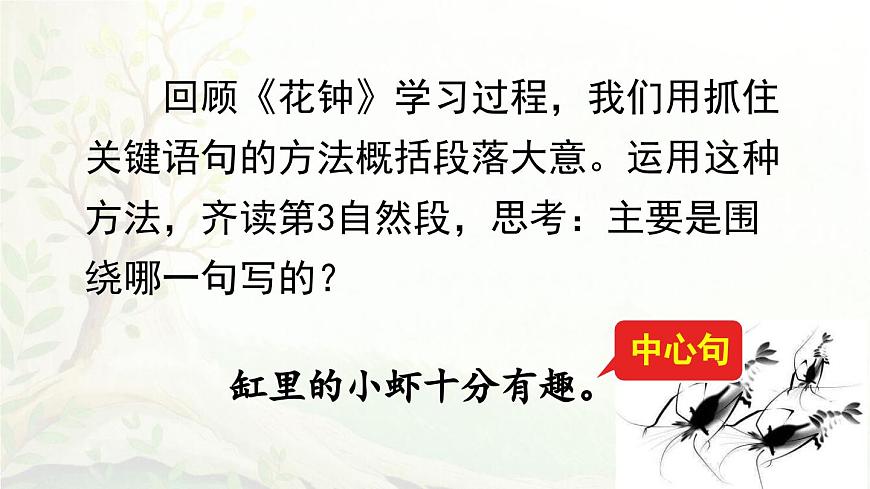 2025年春三年级语文下册第15课《小虾》课件（统编版）第6页