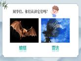 部編版小學(xué)語文四年級(jí)上冊(cè)《6 夜間飛行的秘密》課件+教案+練習(xí)（含答案）