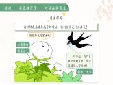 18棉花姑娘 第2課時 課件 語文統(tǒng)編版（2024）一年級下冊第八單元