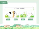 統(tǒng)編版一年級語文下冊第18課《棉花姑娘》第2課時 課件