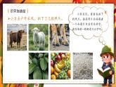 統(tǒng)編版語文一上《語文園地八》課件+教案+逐字稿+任務(wù)單+特色作業(yè)+音視頻素材
