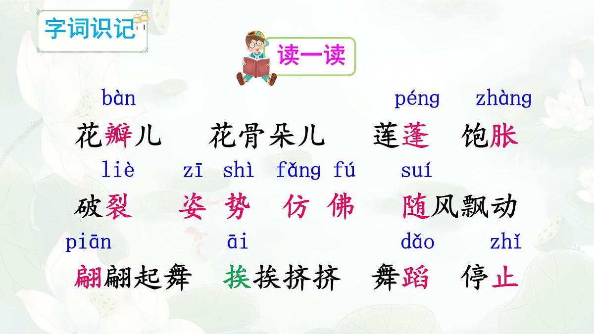 统编版三年级语文下册教学课件《3 荷花》第3页