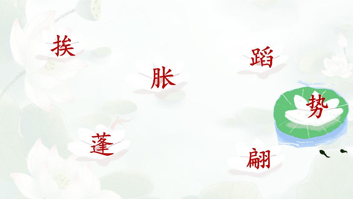 统编版三年级语文下册教学课件《3 荷花》第5页