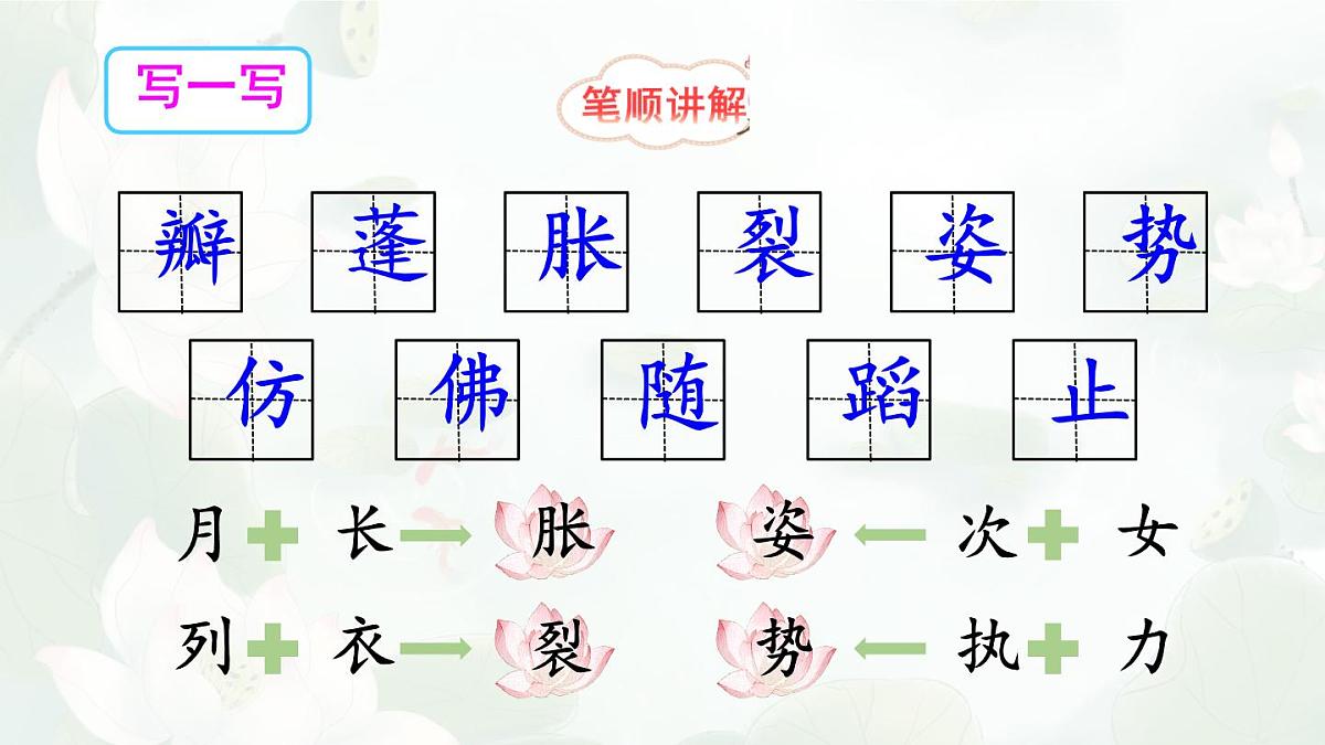 统编版三年级语文下册教学课件《3 荷花》第6页