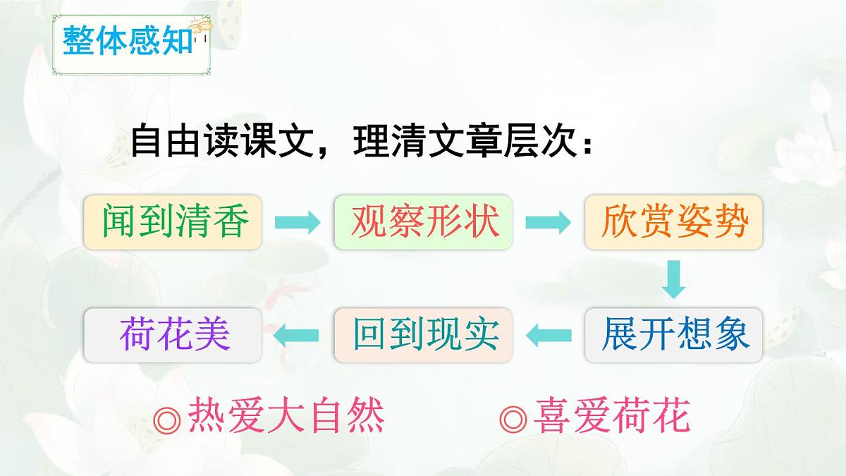 统编版三年级语文下册教学课件《3 荷花》第8页