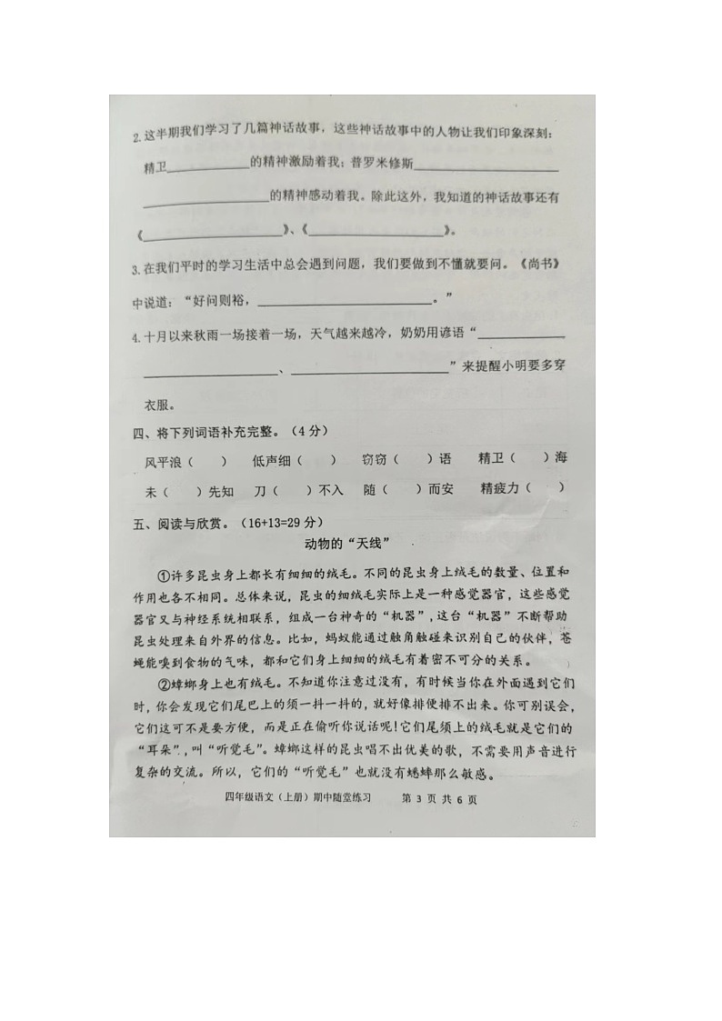 福建省龙岩市武平县2023-2024学年第一学期四年级语文期中试卷（图片版，无答案）第3页