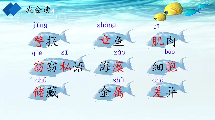 23《海底世界》教学课件-2024-2025学年语文三年级下册统编版第4页