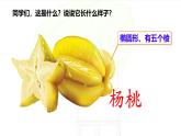 统编版二年级语文下册《13 画杨桃》教学课件