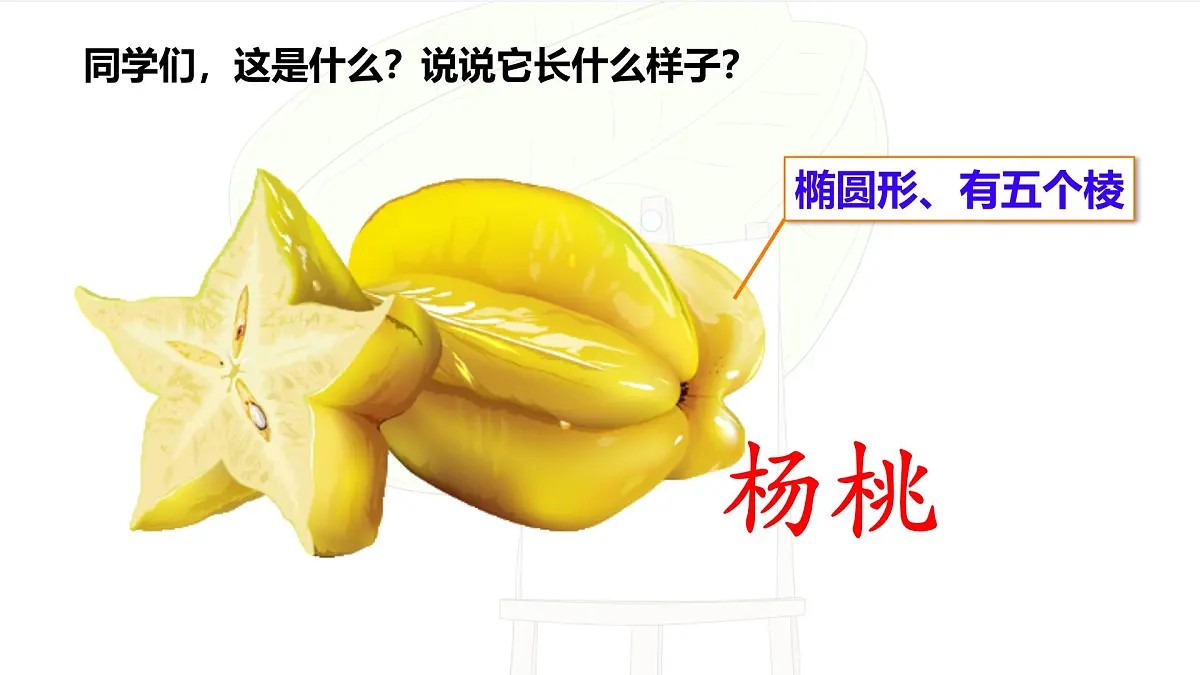 统编版二年级语文下册《13 画杨桃》教学课件第1页