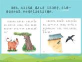 小學 語文 統(tǒng)編版（2024）一年級下冊8.20 小壁虎借尾巴 課件
