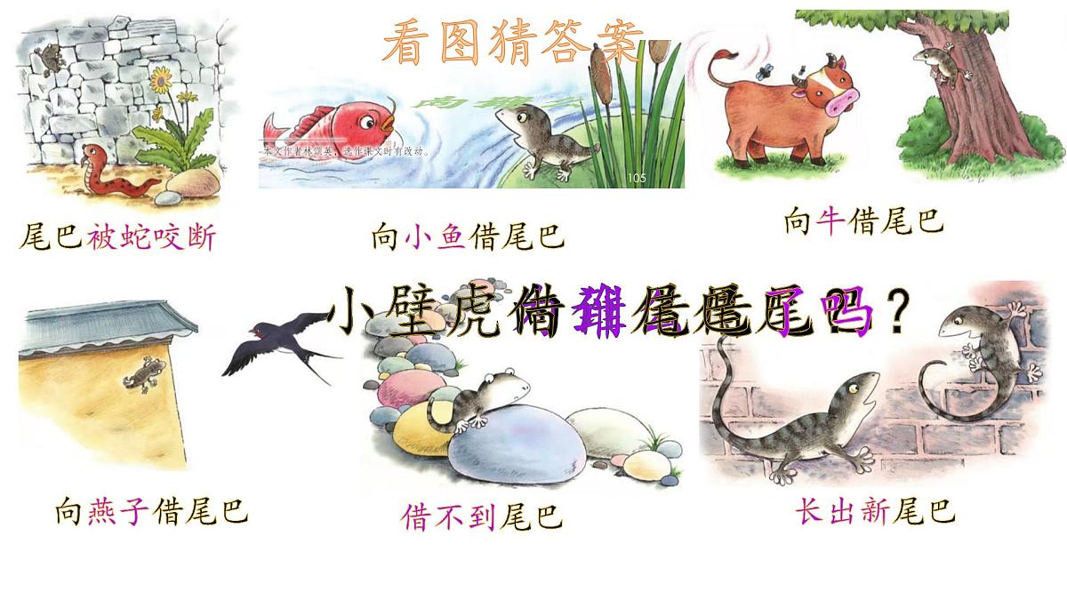 小学 语文 统编版（2024）一年级下册8.20 小壁虎借尾巴 课件第4页