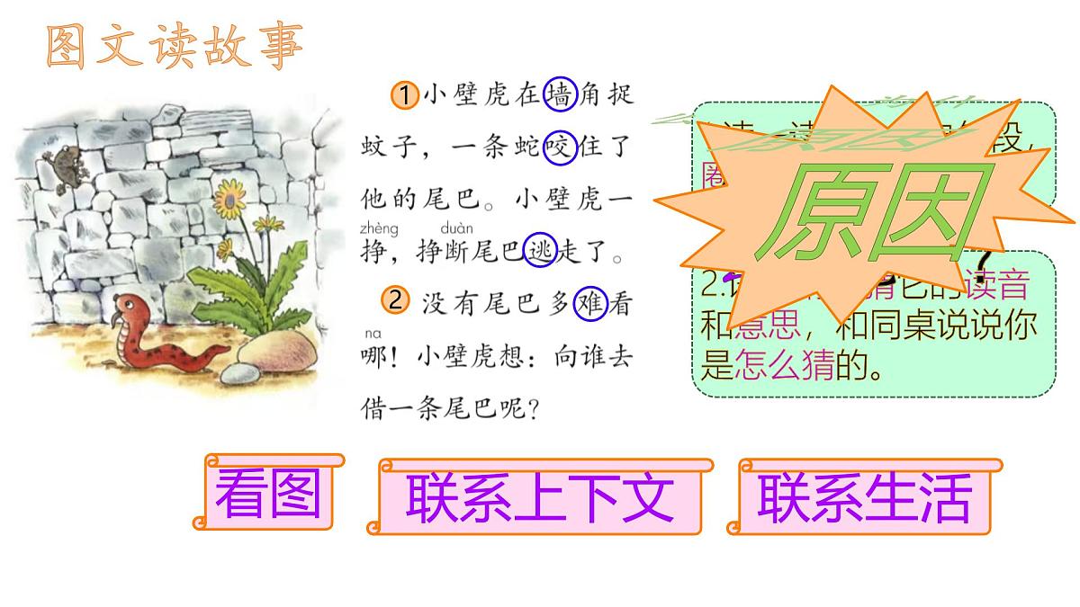 小学 语文 统编版（2024）一年级下册8.20 小壁虎借尾巴 课件第5页
