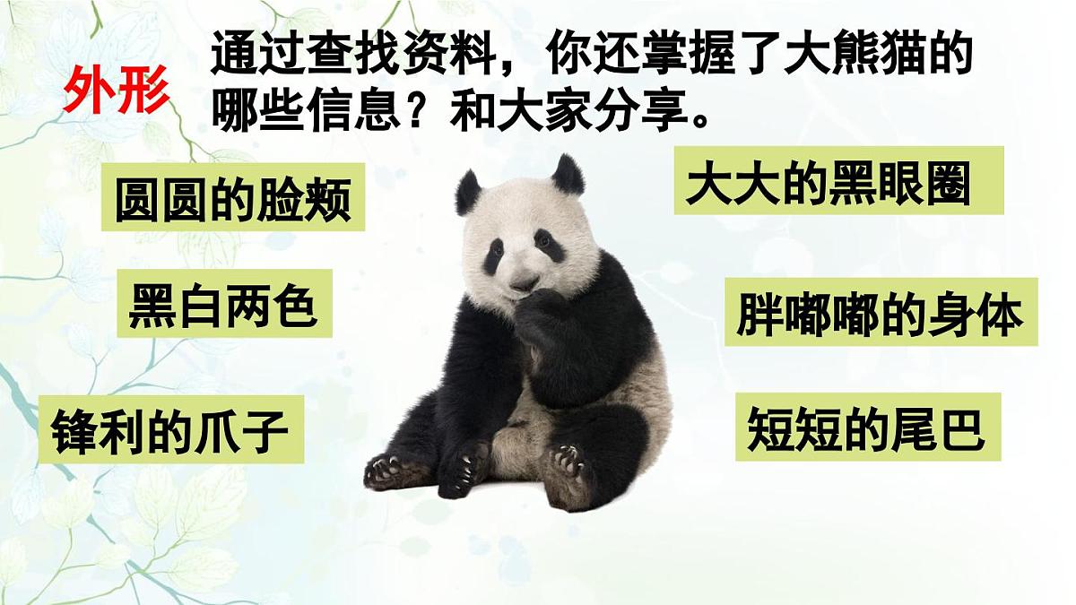 2025年春三年级语文下册第七单元习作《国宝大熊猫》课件（统编版）第5页