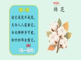 小學 語文 統(tǒng)編版（2024）一年級下冊8.18 棉花姑娘 課件