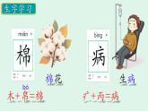 小學 語文 統(tǒng)編版（2024）一年級下冊8.18 棉花姑娘 課件