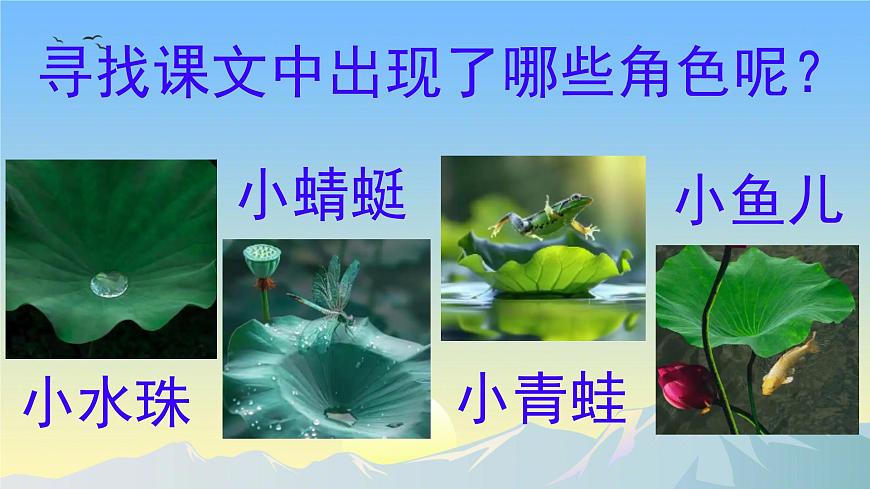 小学语文统编版（2024）一年级下册6.12 荷叶圆圆 课件第5页